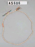 藏品(貝貨)的圖片